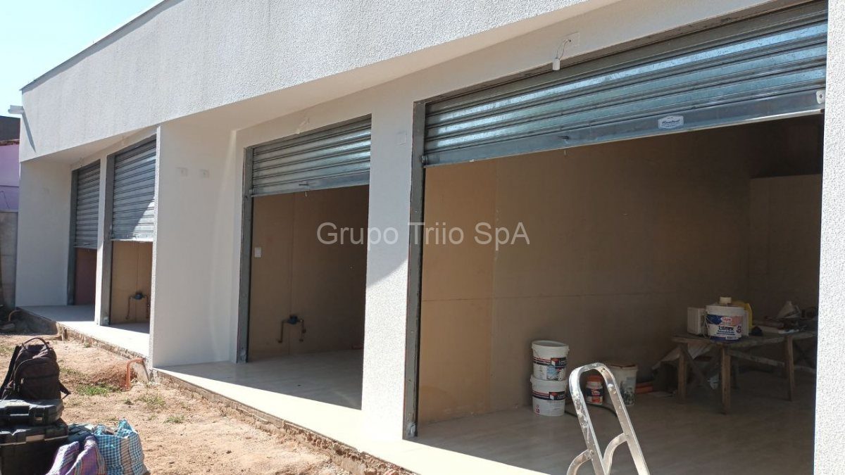 Locales Comerciales V